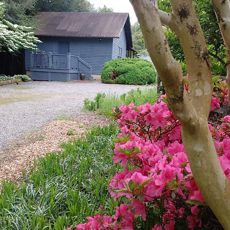Restored1850S Log Cabin, With Gazebo And Gardens! 1 Mile To Downtown Weaverville Exterior foto