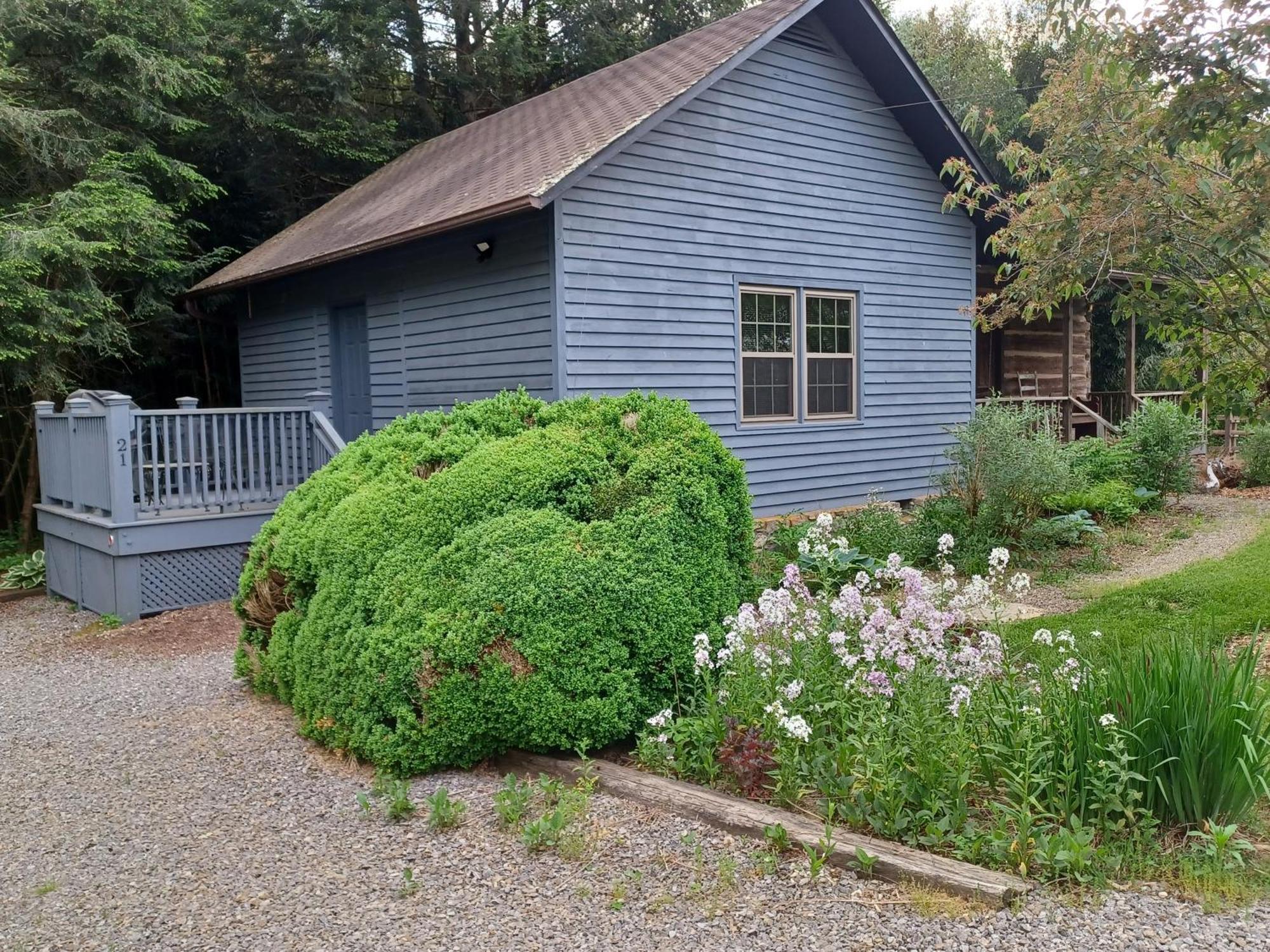 Restored1850S Log Cabin, With Gazebo And Gardens! 1 Mile To Downtown Weaverville Exterior foto